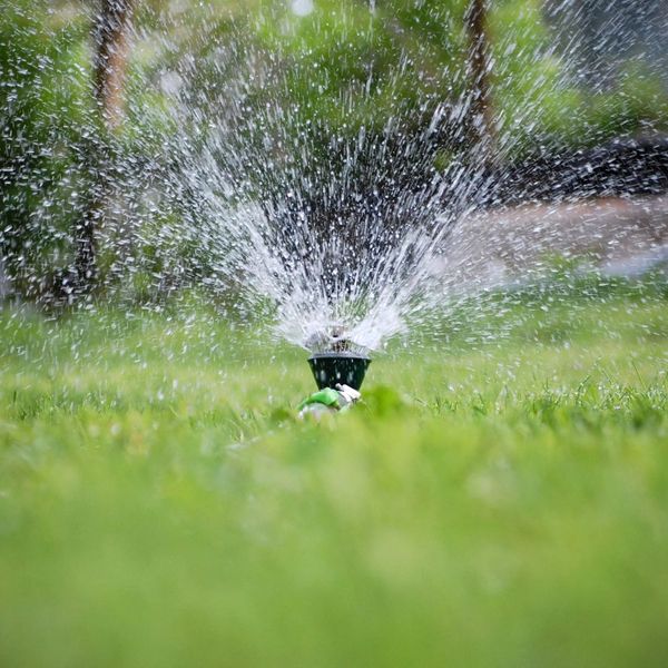 image of a sprinkler system